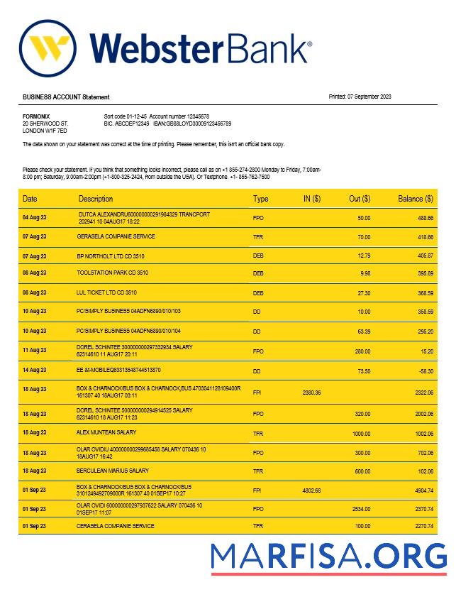 Downloadable Webster Bank business statement Word and PDF template